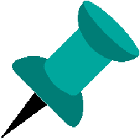 Pin Icon